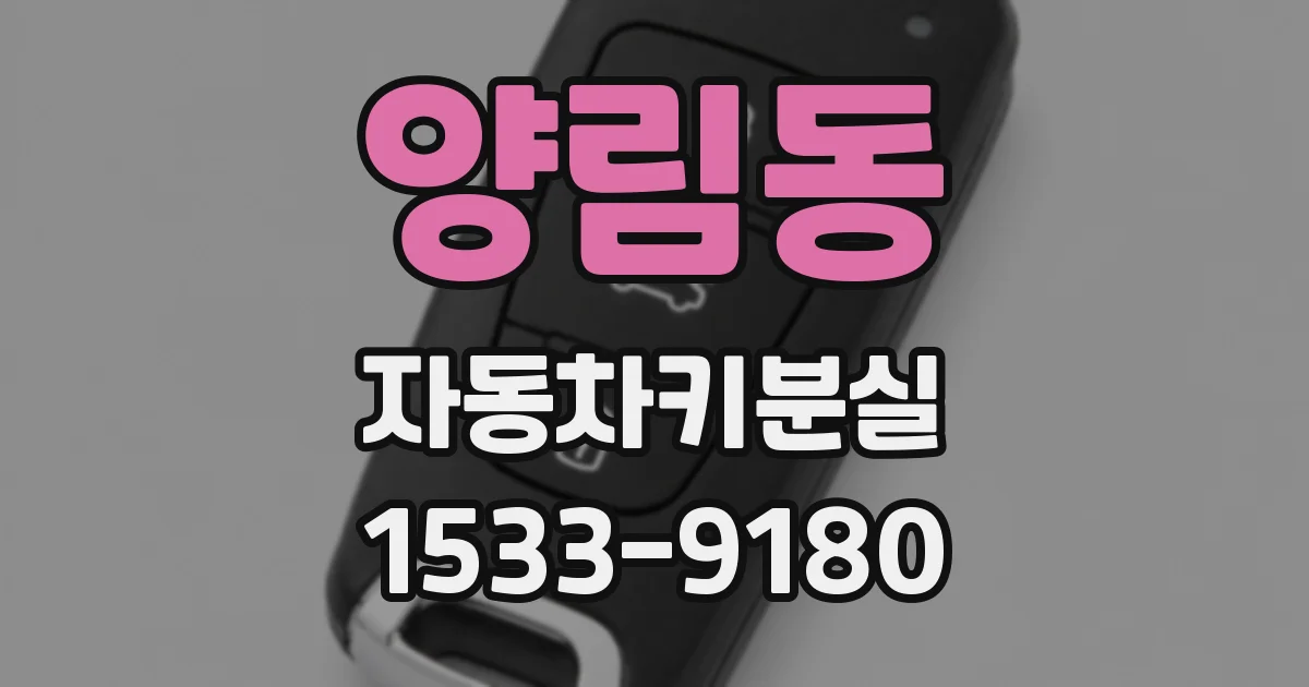 양림동 자동차키분실