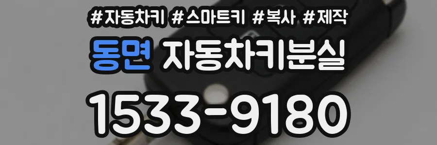 동면 자동차키분실
