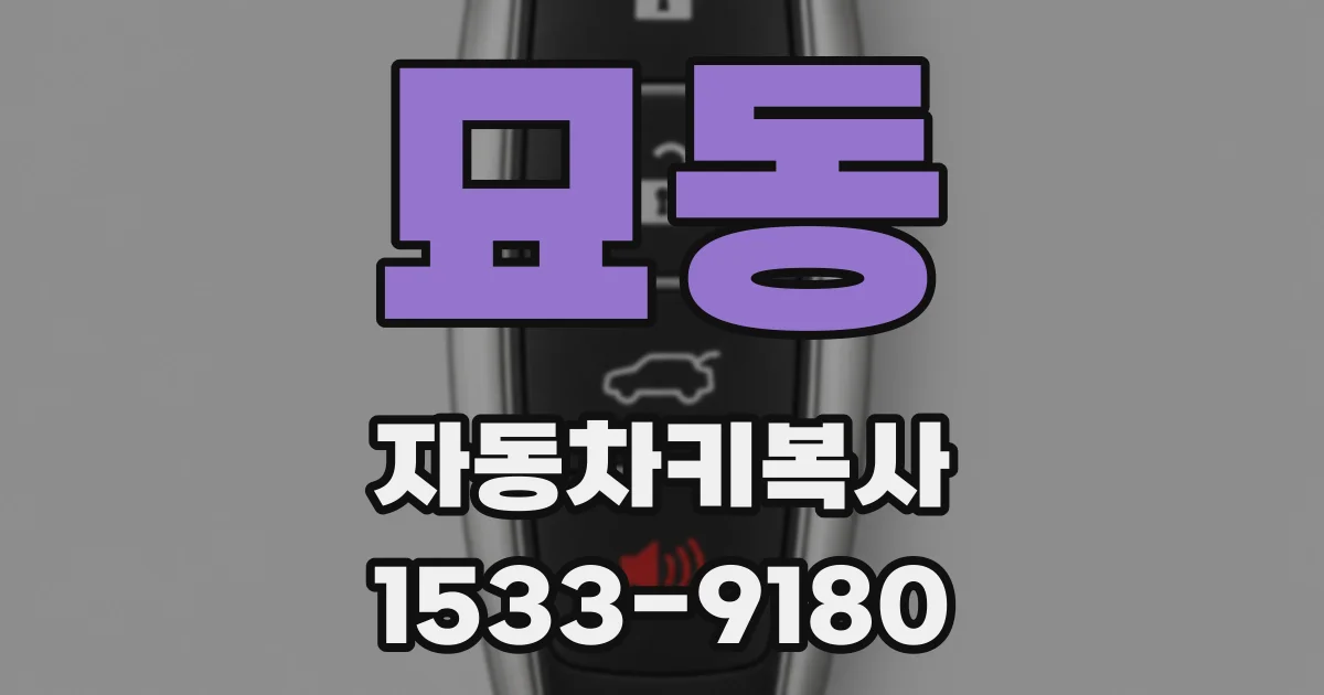 묘동 자동차키복사