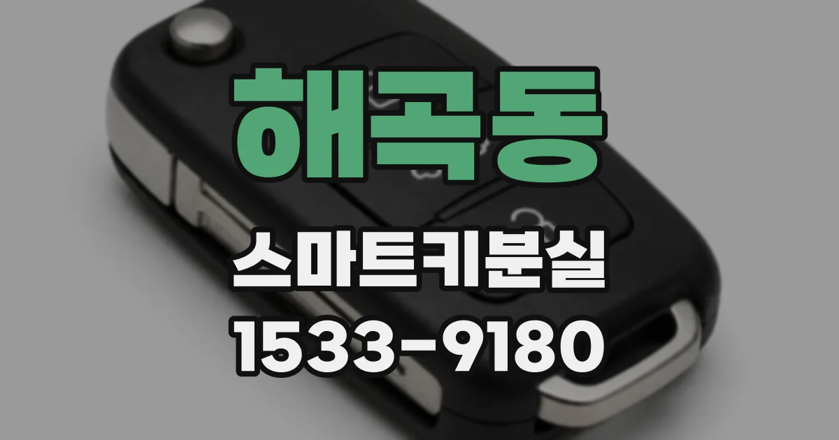 해곡동 스마트키분실