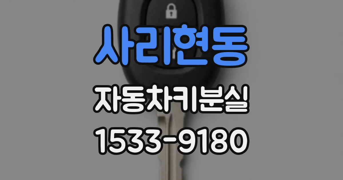 사리현동 자동차키분실