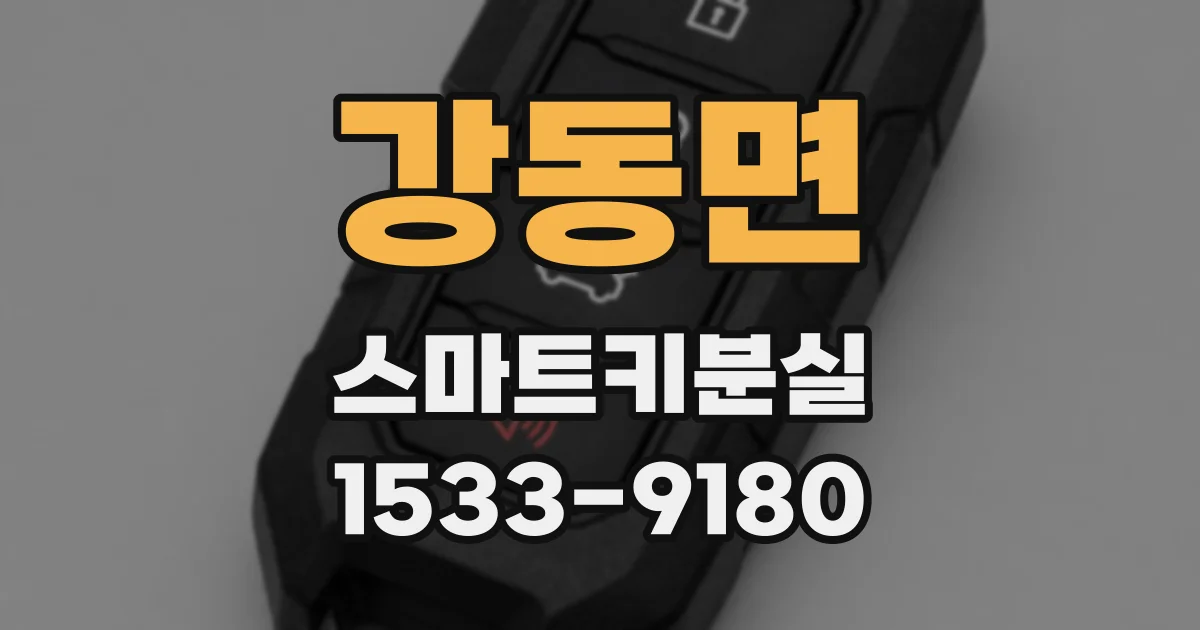 강동면 스마트키분실