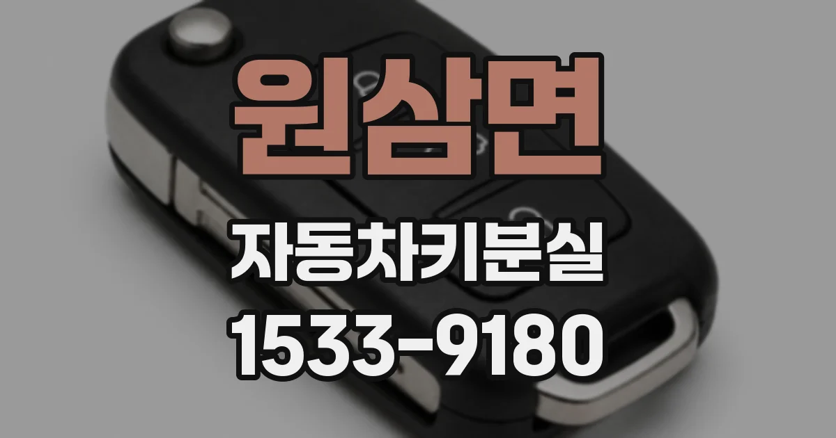 원삼면 자동차키분실