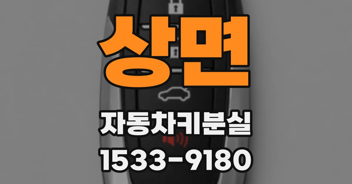 상면 자동차키분실