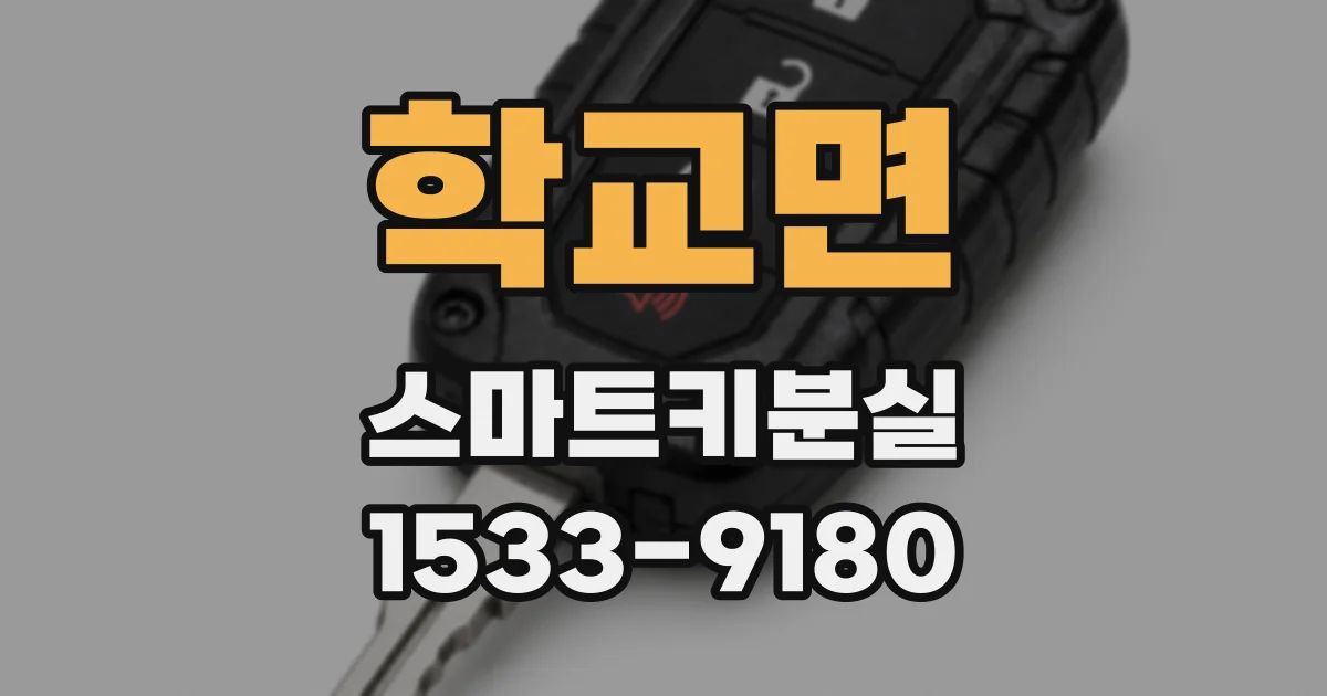 학교면 스마트키분실