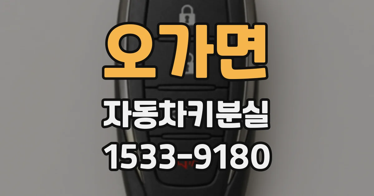 오가면 자동차키분실