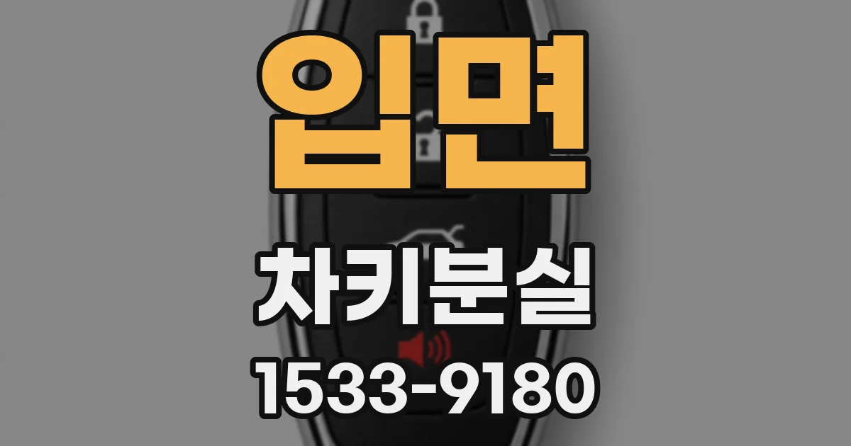 입면 차키분실