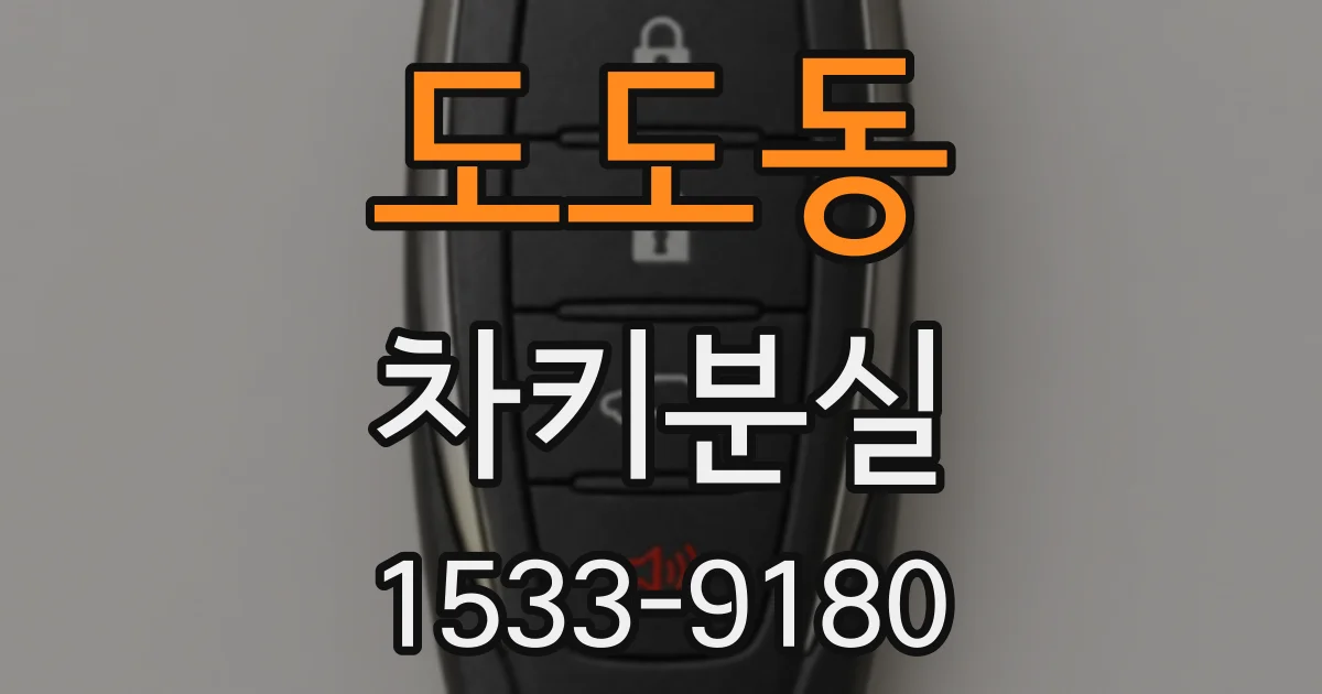 도도동 차키분실