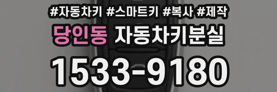 당인동 자동차키분실