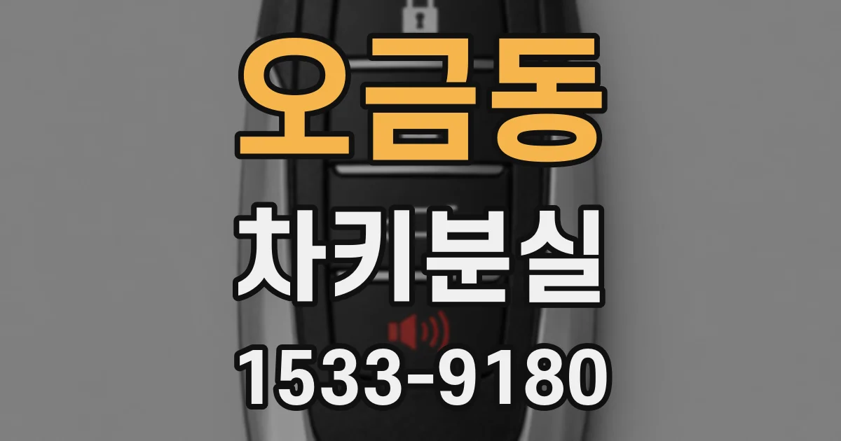 오금동 차키분실
