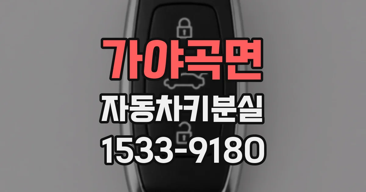 가야곡면 자동차키분실