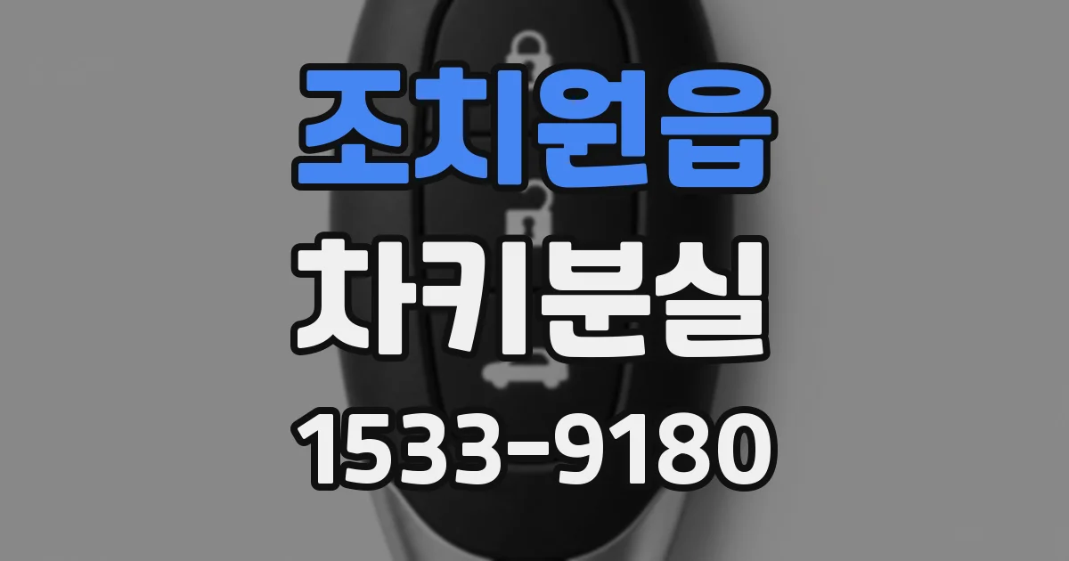 조치원읍 차키분실