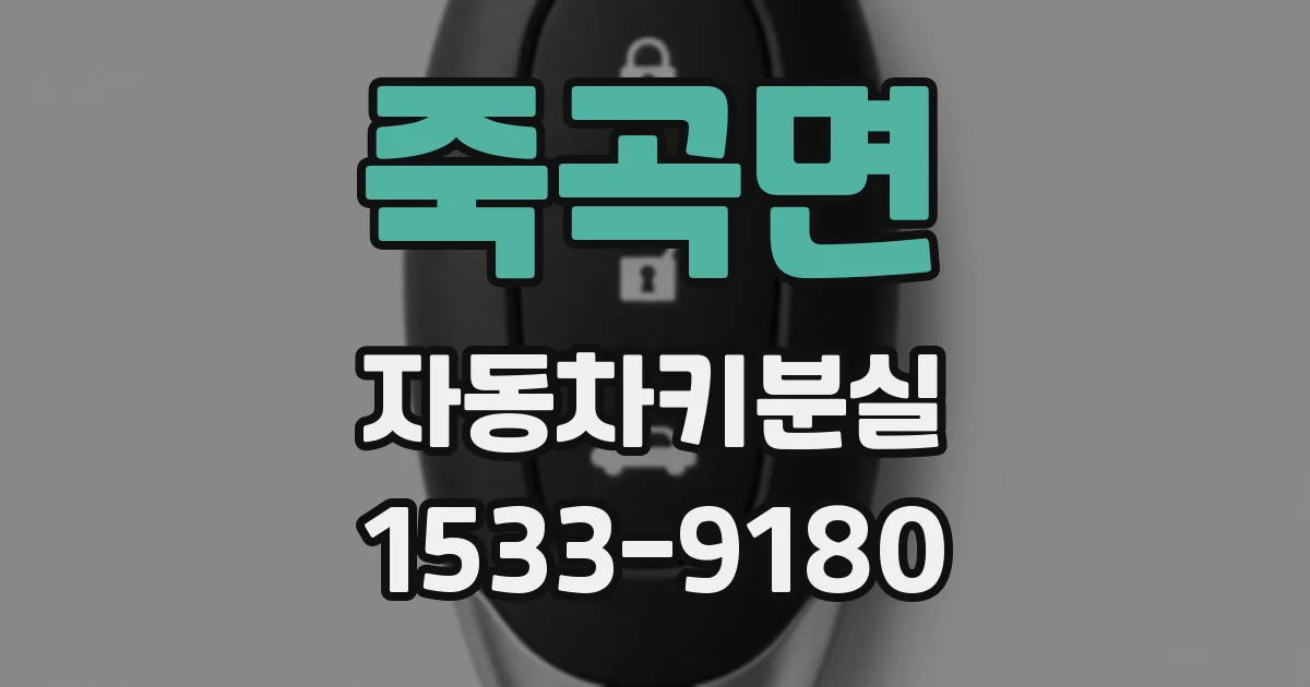 죽곡면 자동차키분실