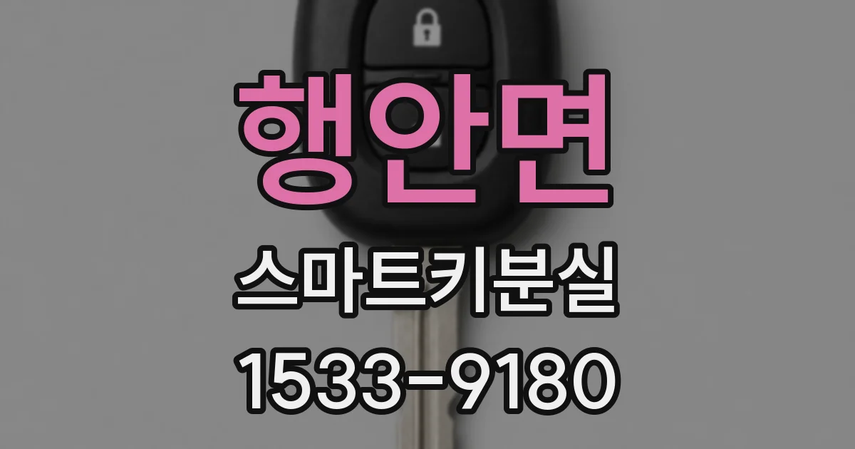 행안면 스마트키분실