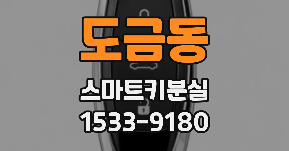 도금동 스마트키분실