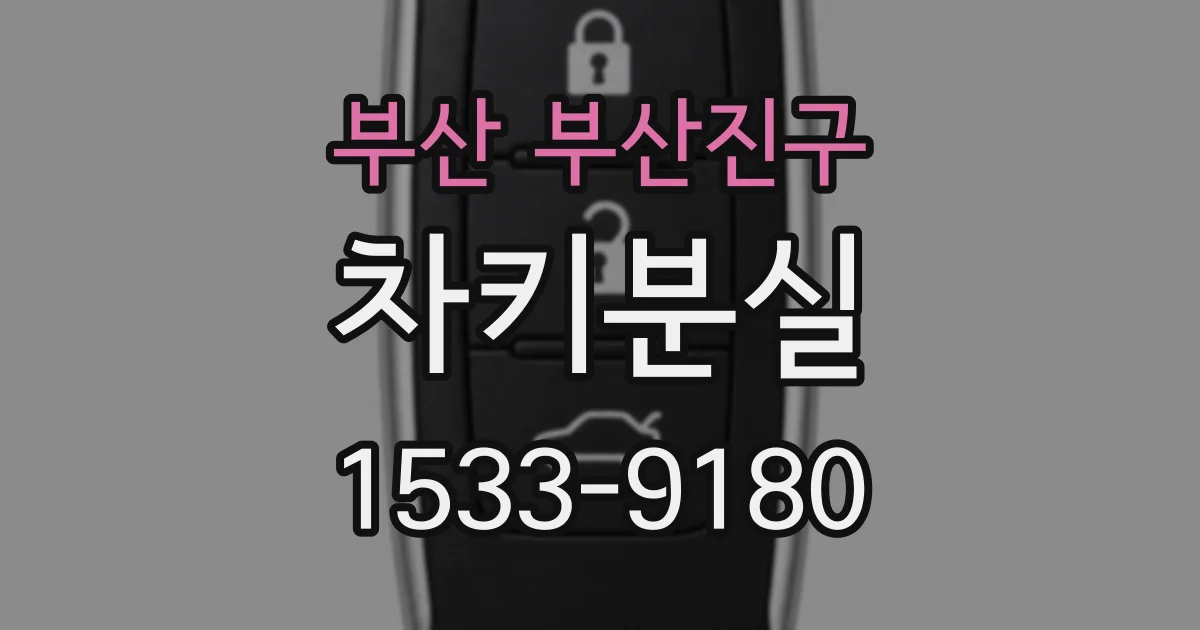 부산 부산진구 차키분실