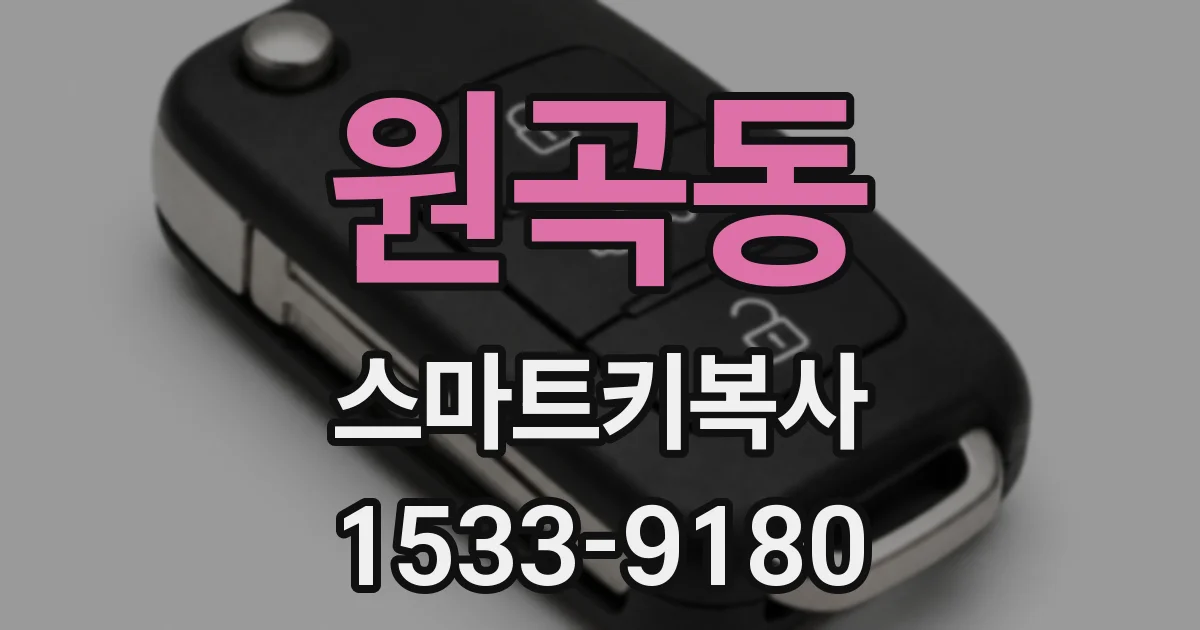 원곡동 스마트키복사