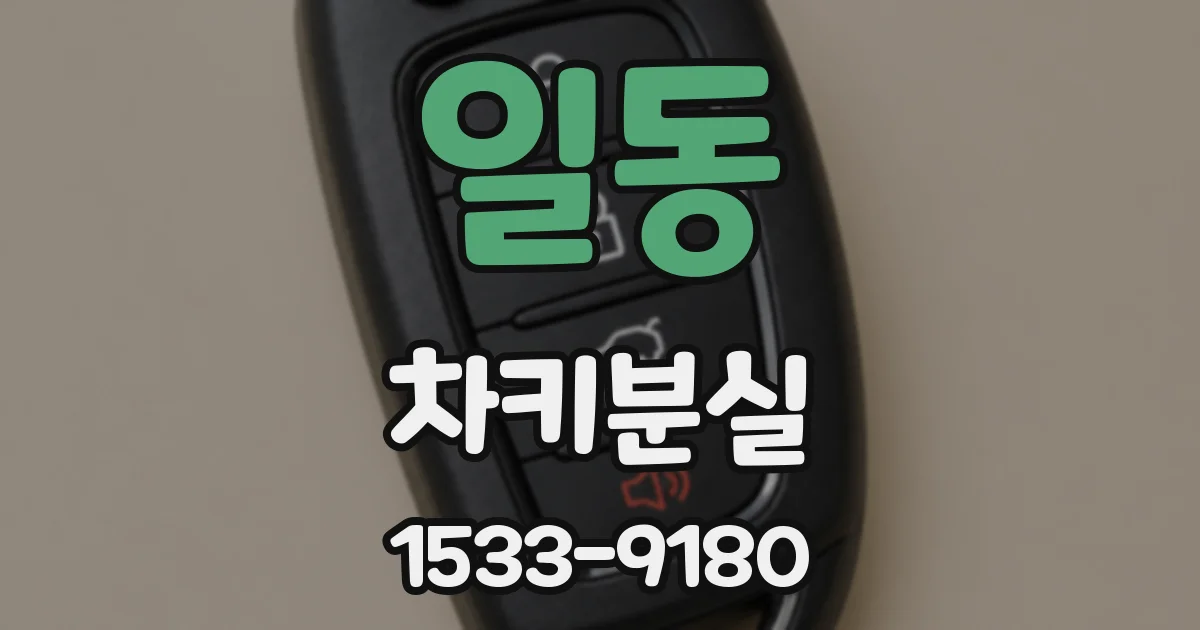 일동 차키분실