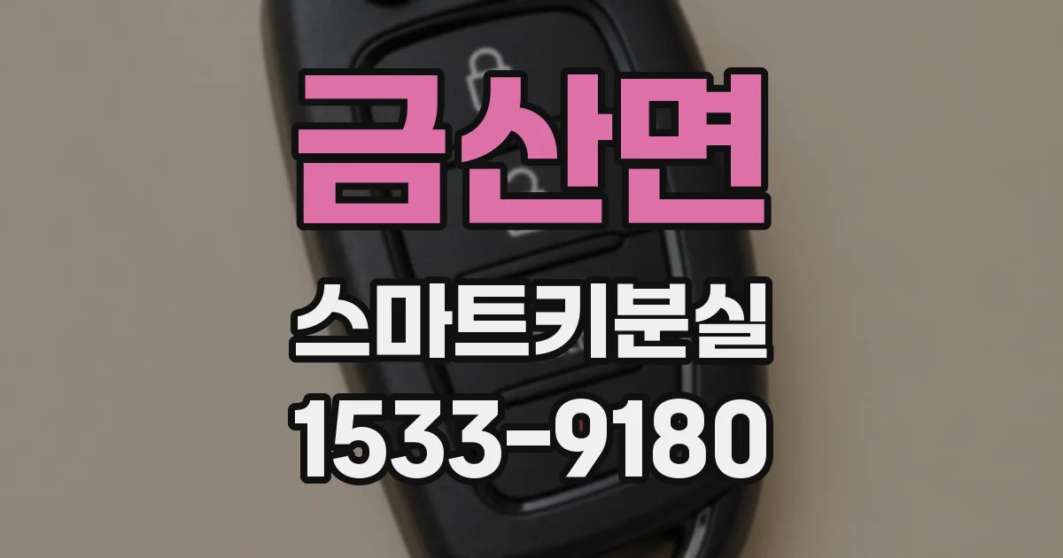 금산면 스마트키분실