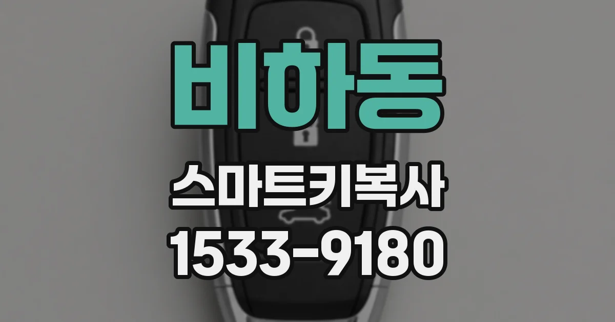 비하동 스마트키복사