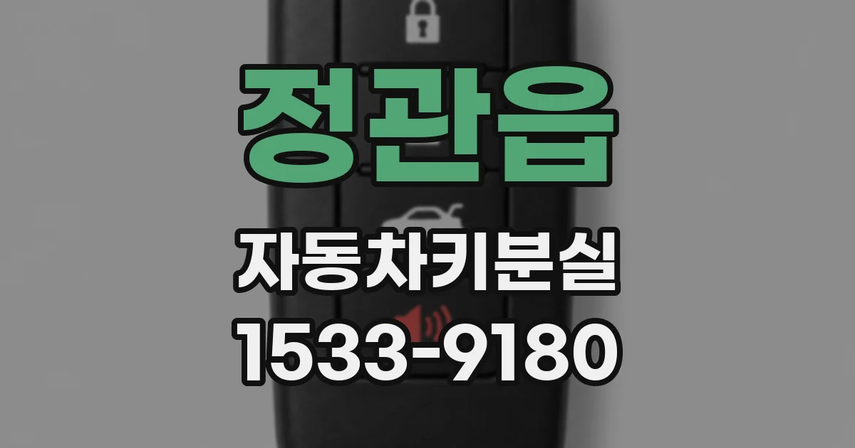 정관읍 자동차키분실
