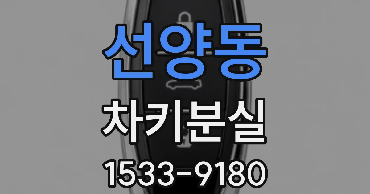 선양동 차키분실
