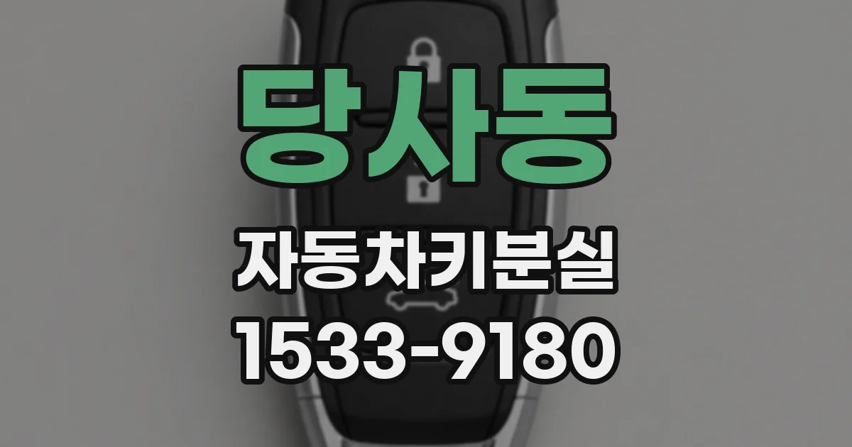 당사동 자동차키분실