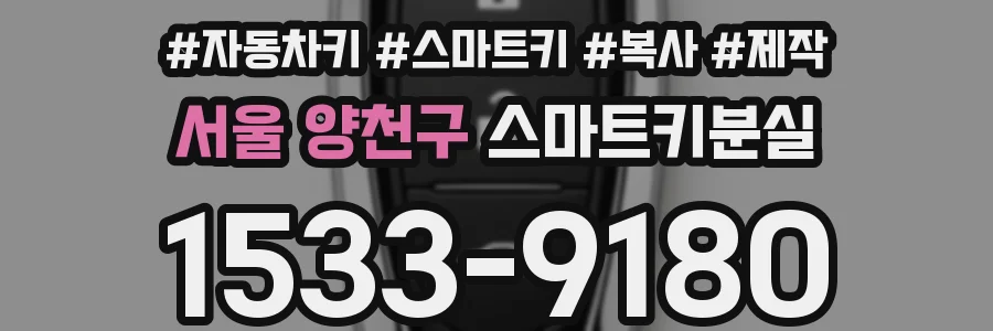 서울 양천구 스마트키분실