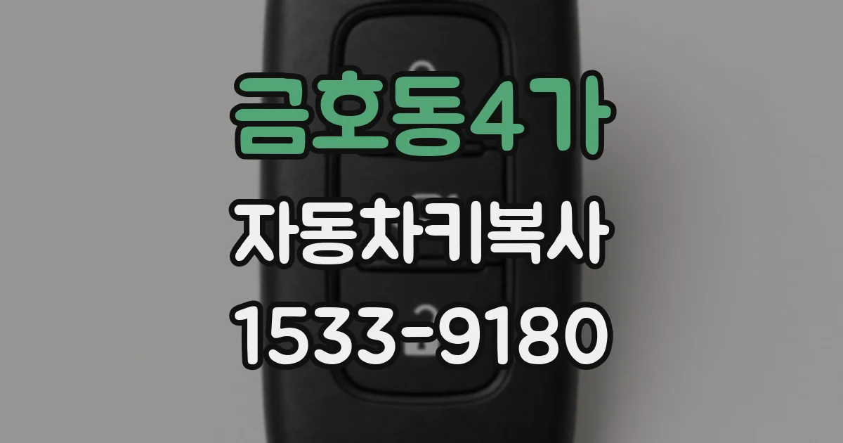 금호동4가 자동차키복사