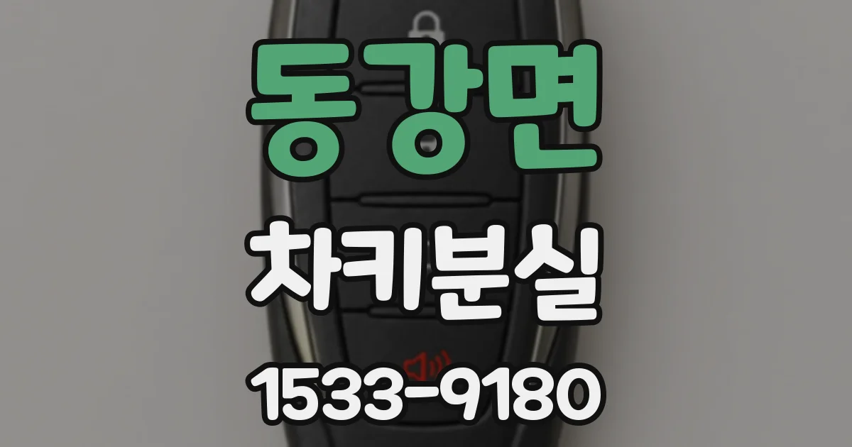 동강면 차키분실
