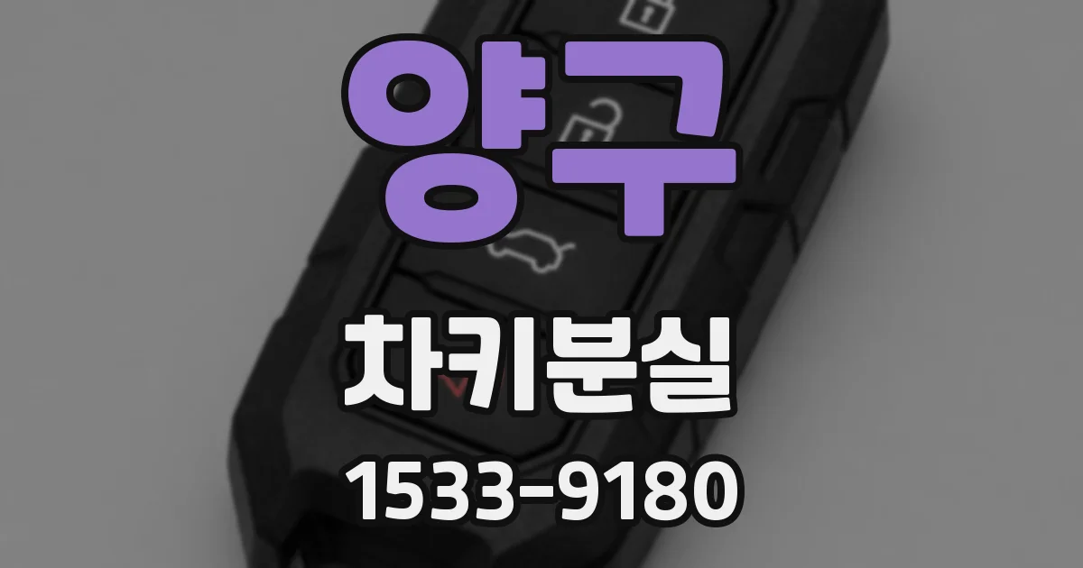 양구 차키분실