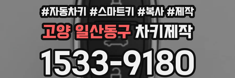 고양 일산동구 차키제작