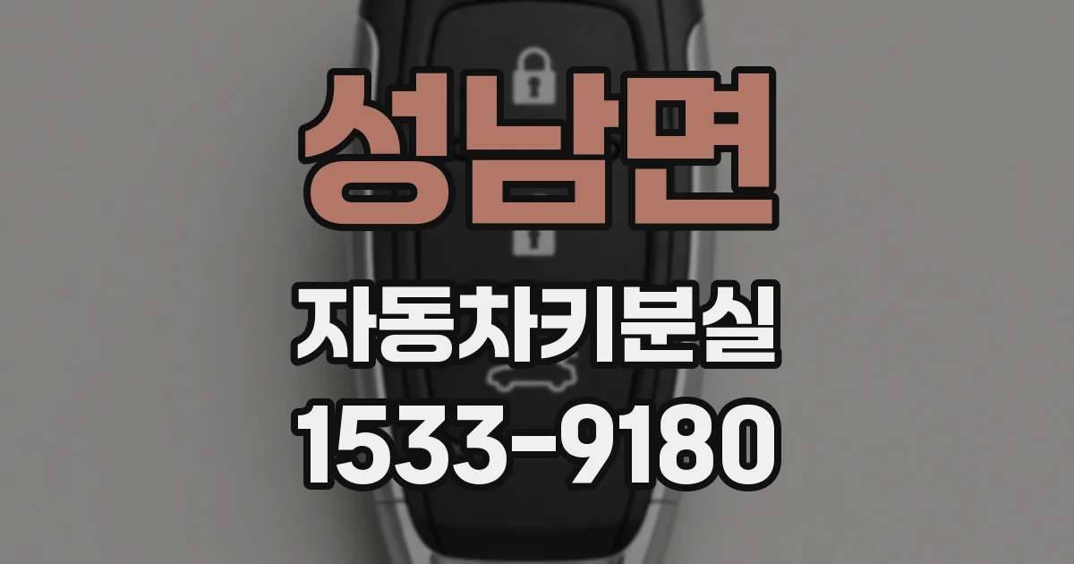 성남면 자동차키분실