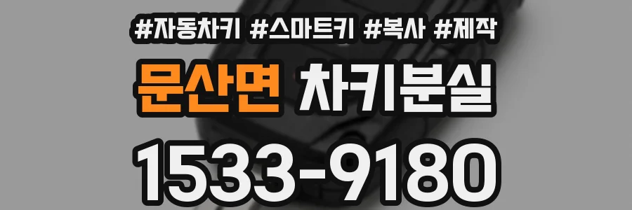 문산면 차키분실