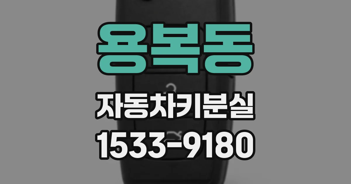 용복동 자동차키분실