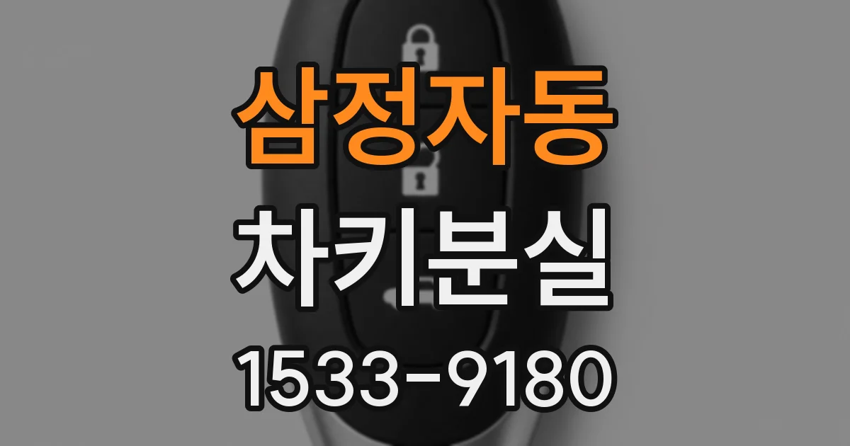 삼정자동 차키분실