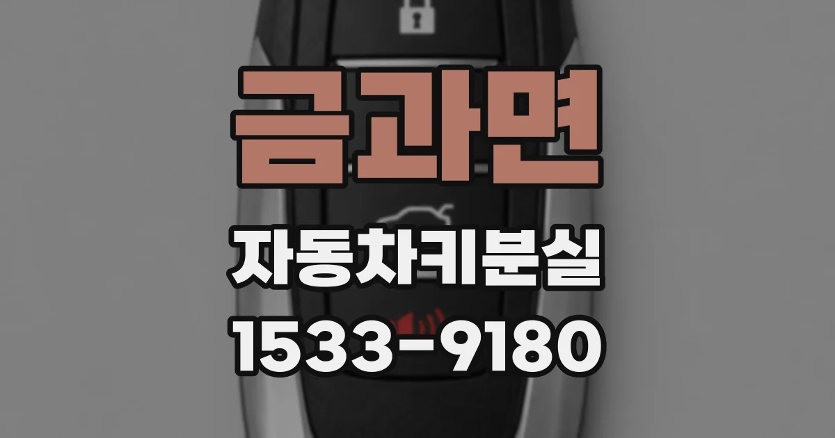 금과면 자동차키분실