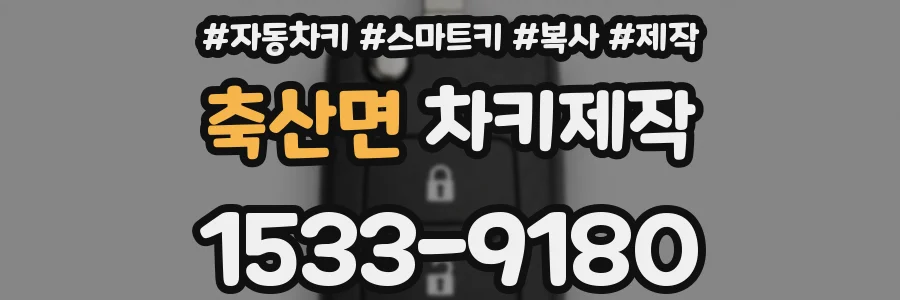 축산면 차키제작