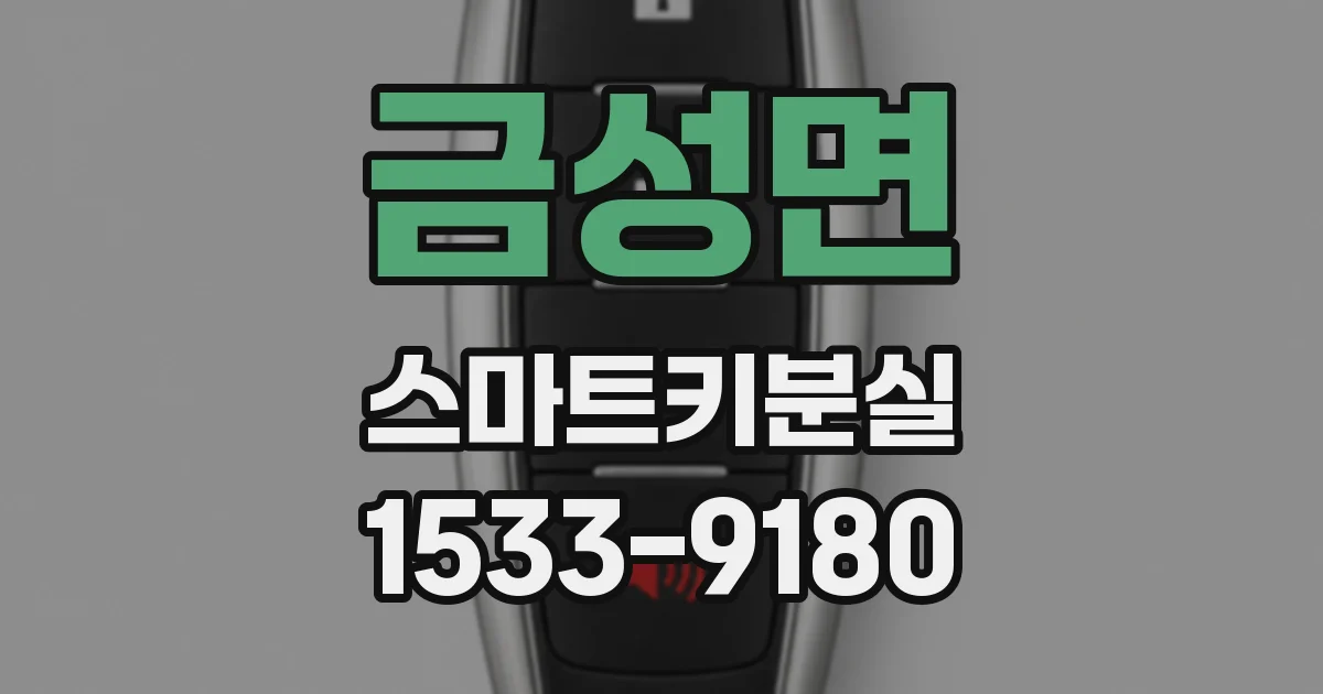 금성면 스마트키분실