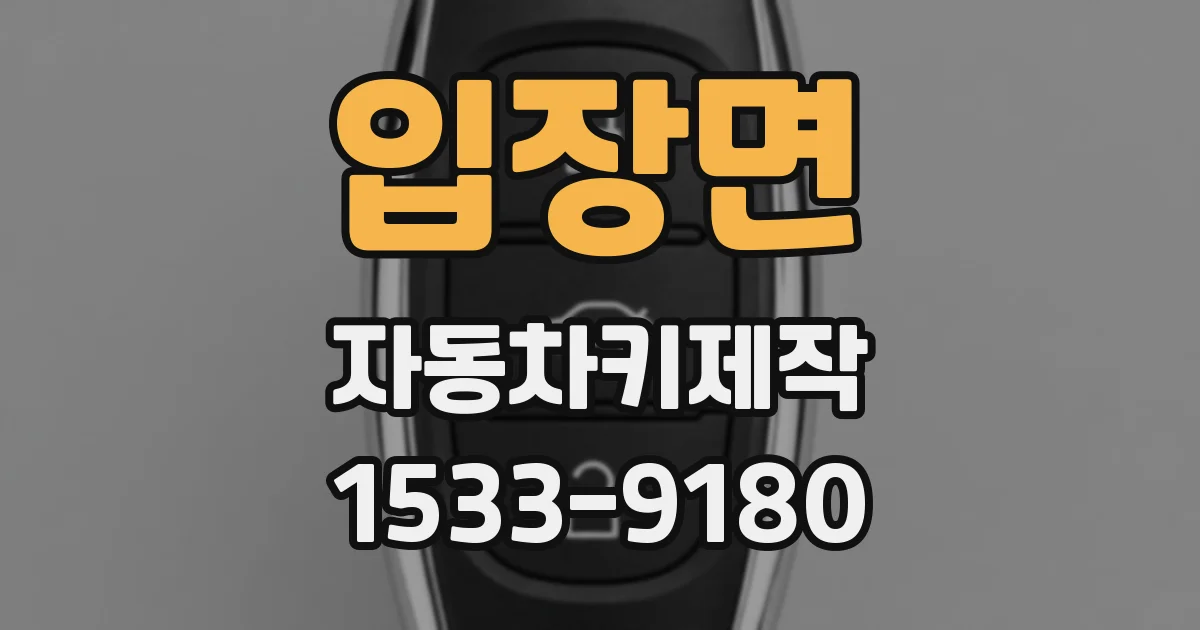 입장면 자동차키제작