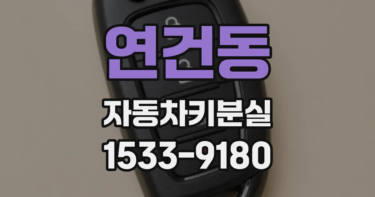 연건동 자동차키분실