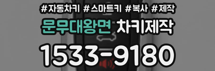 문무대왕면 차키제작