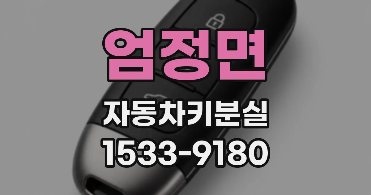엄정면 자동차키분실