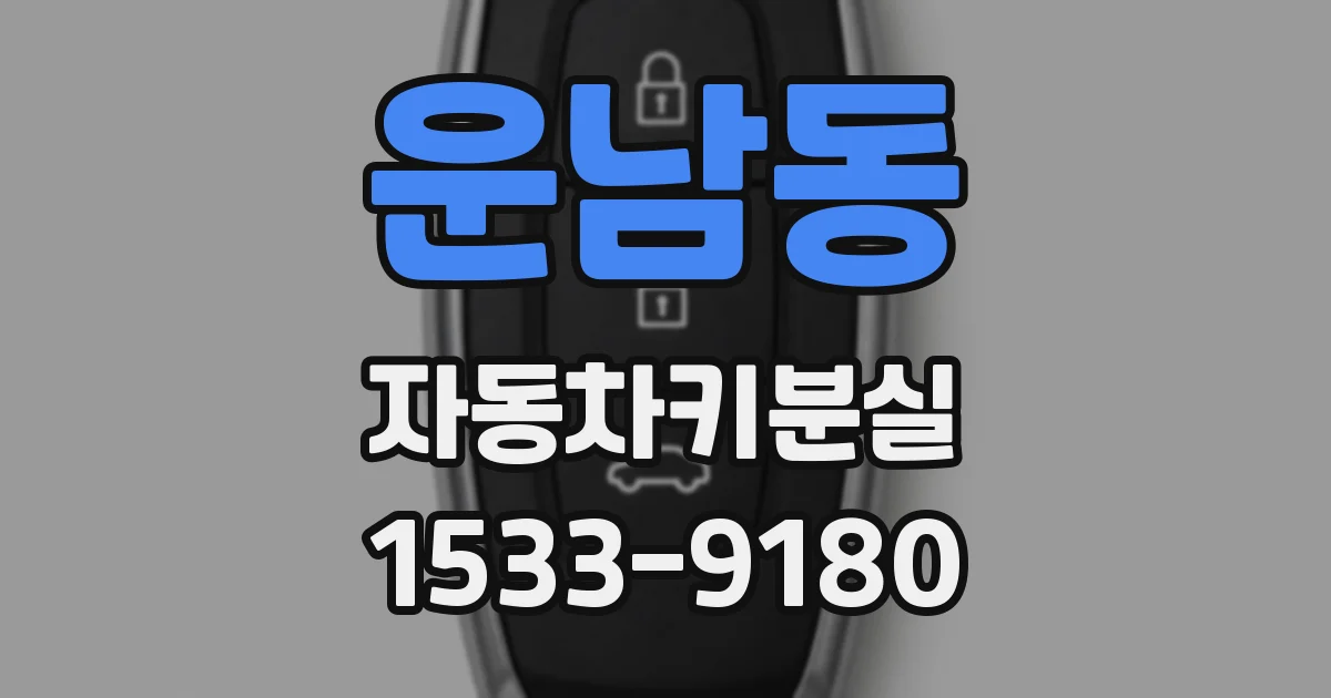 운남동 자동차키분실