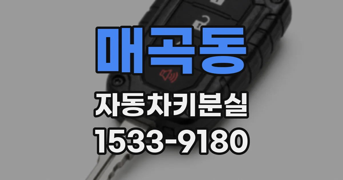 매곡동 자동차키분실
