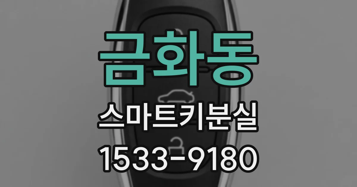 금화동 스마트키분실