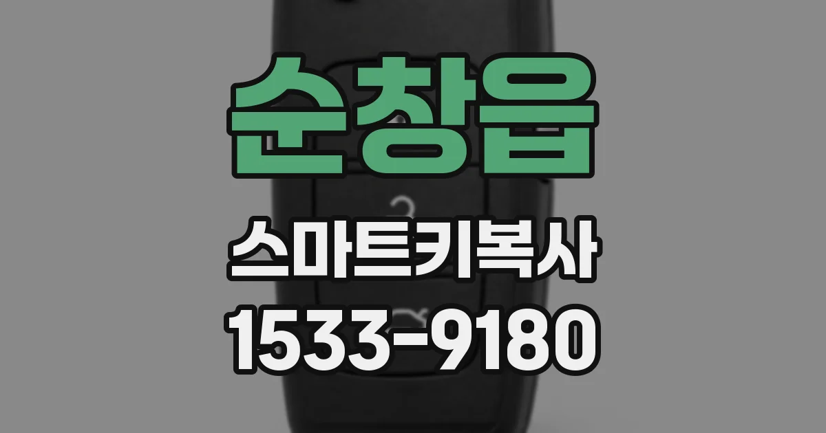 순창읍 스마트키복사