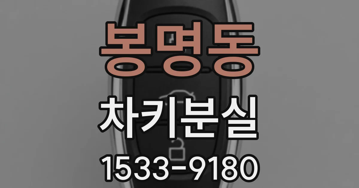 봉명동 차키분실