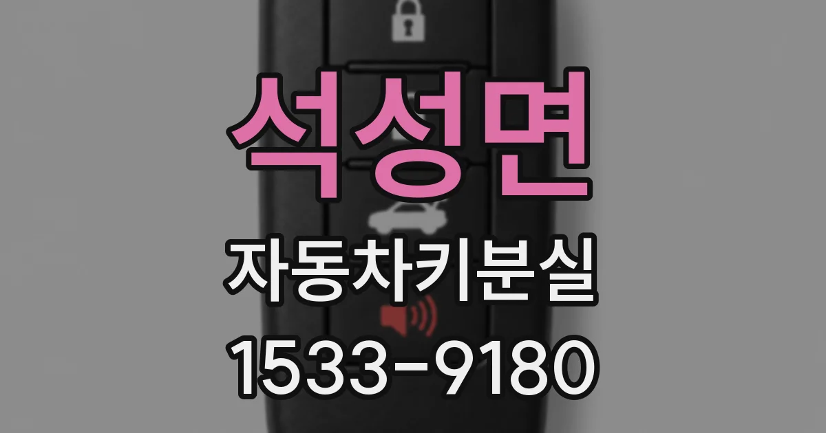석성면 자동차키분실