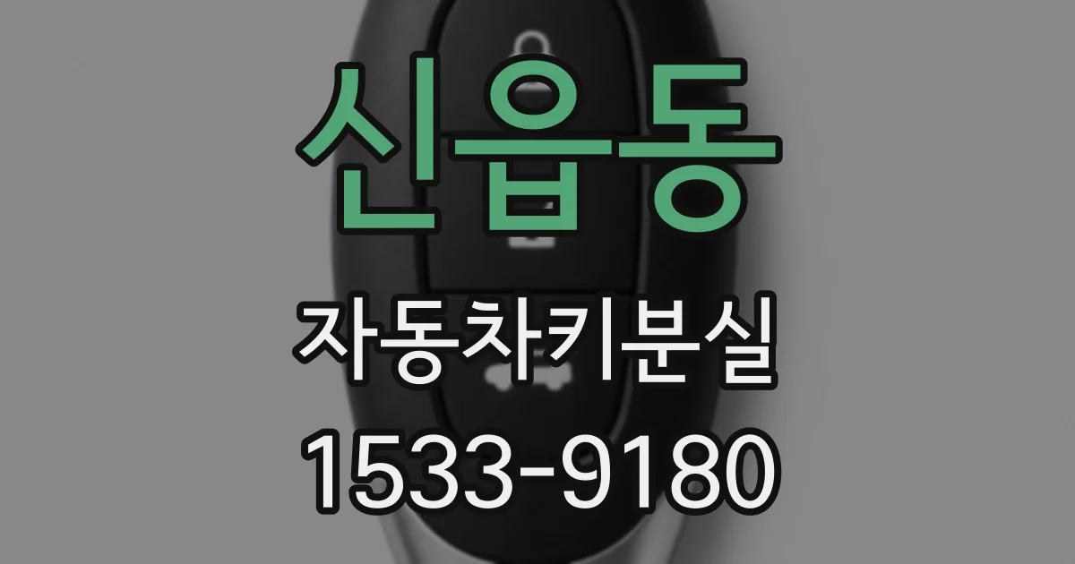 신읍동 자동차키분실